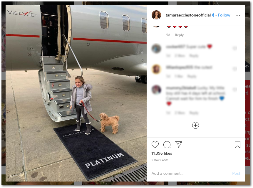 Tamara Ecclestone's daughter and dog boarding a private jet 