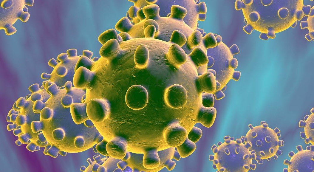 Molecular image of the 2019 coronavirus