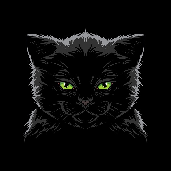 Black image of black cat silhouette