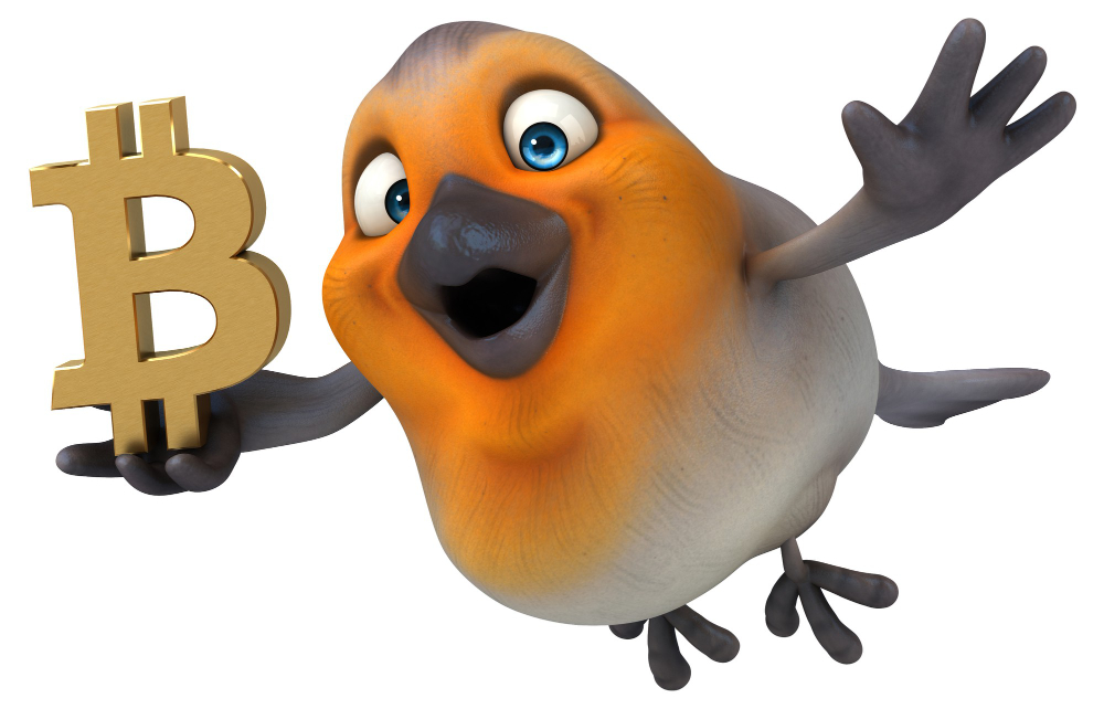Robin flying away with Bitcoin