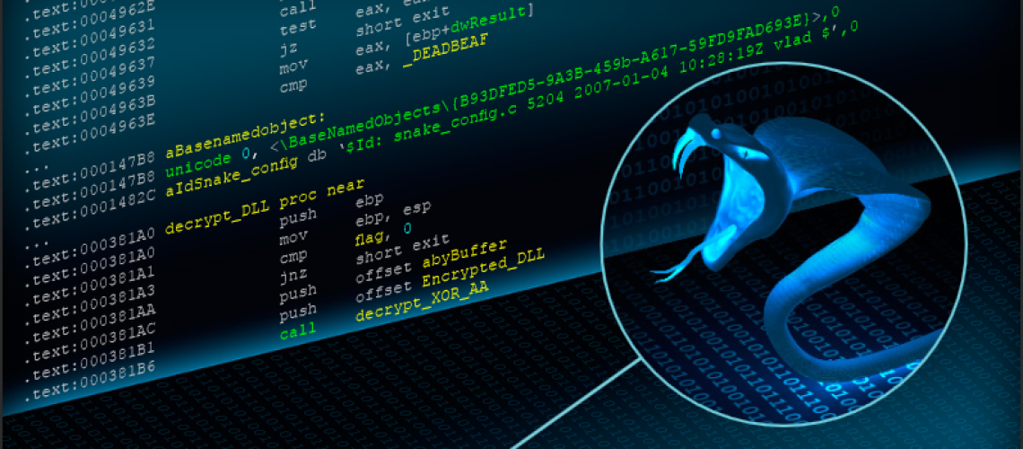 Cyber Snake hidden in computer code